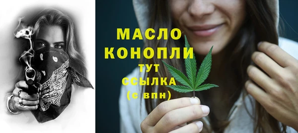 гидра Арсеньев