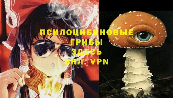 гашик Аркадак