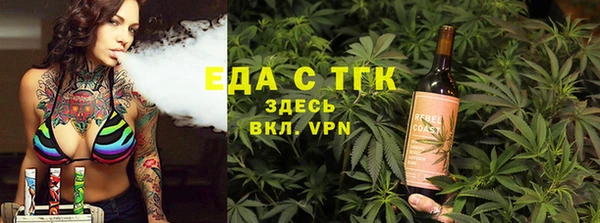 гидра Арсеньев