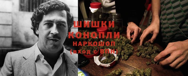 прущий лед Семилуки